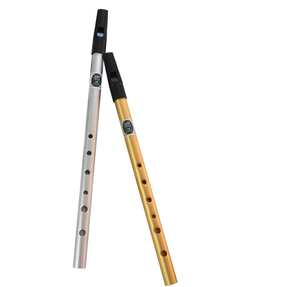 Penny Whistle D - Irlandzki gwizdek flet C/D klucz irlandia