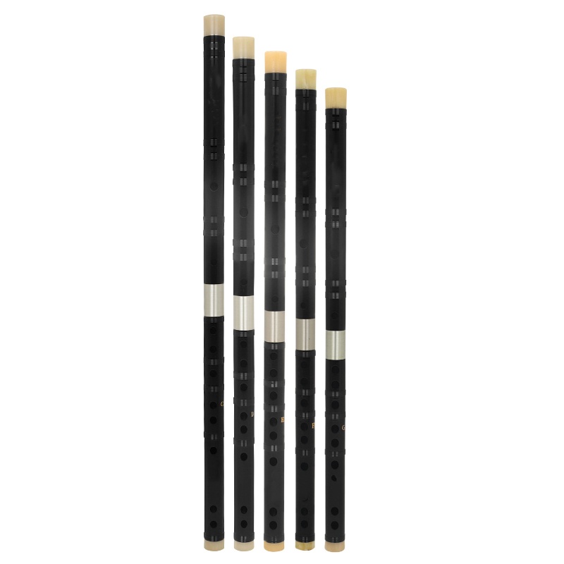 Chińska Fabryka Narodowa Wykwi – Musical Instrument Old recenzja i cena